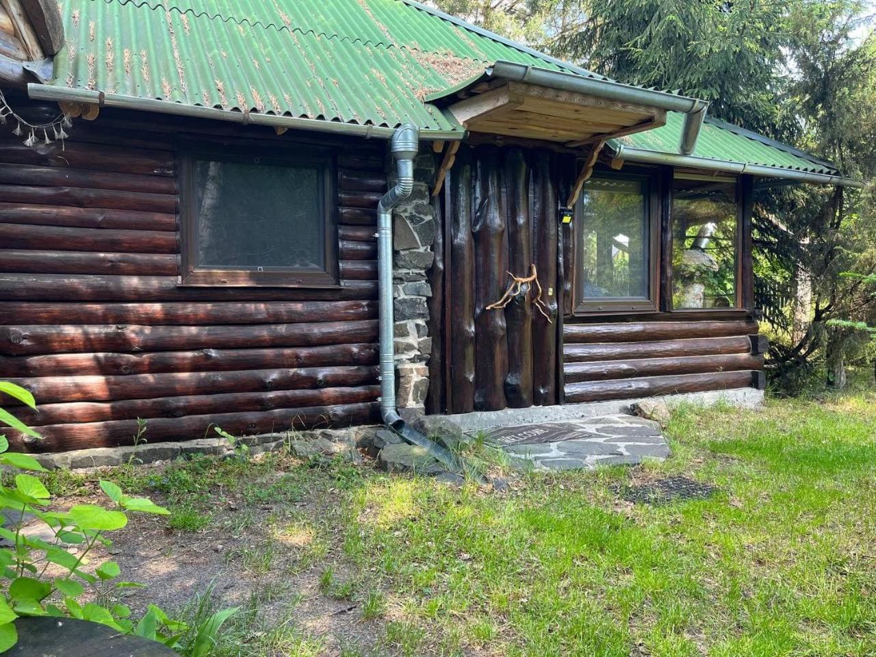 Zelenyi Rai Apartment Sviteaz Cameră foto